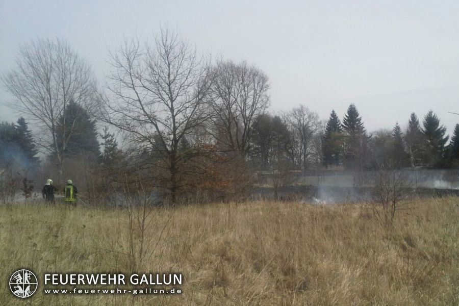 Einsatz 14-2015